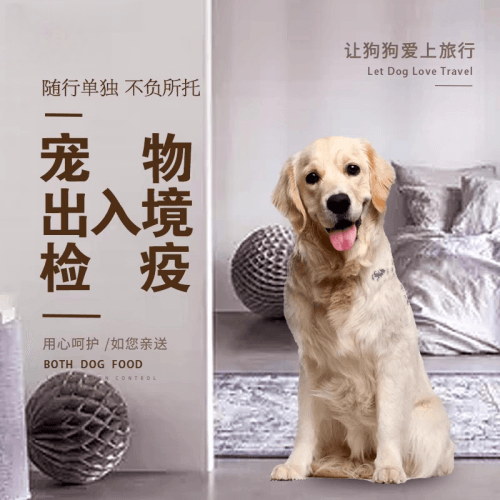 大连市宠物托运到哥伦比亚猫狗宠物入境规定和