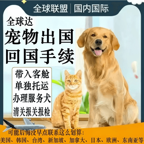 大连市宠物托运到柬埔寨宠物入境规定和要求