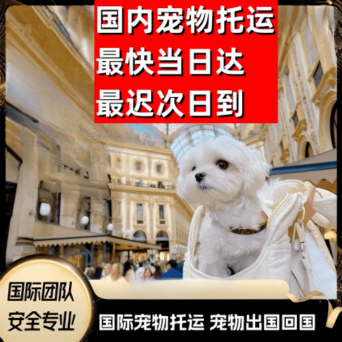 大连市到澳大利亚（澳洲）宠物入境规定和要求