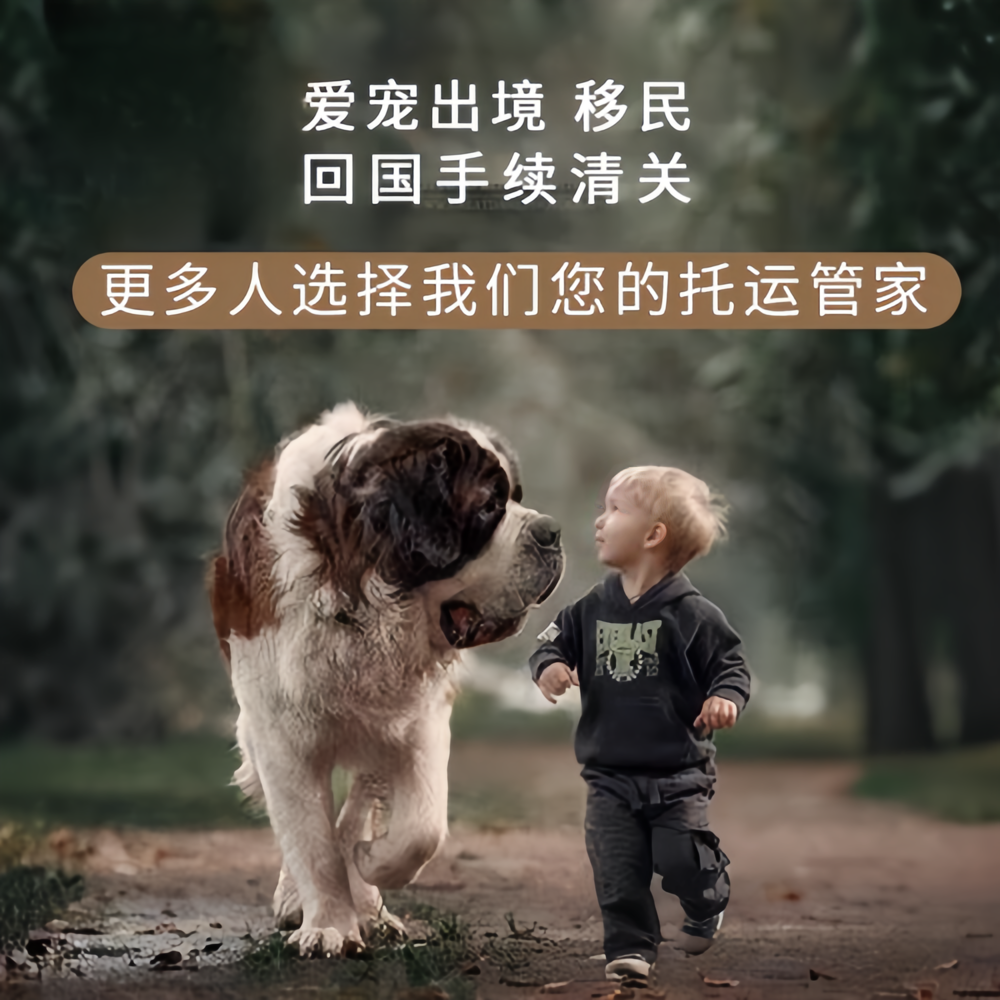 满财大连市宠物全球达宠物托运在遵守入境目的地政策的条件