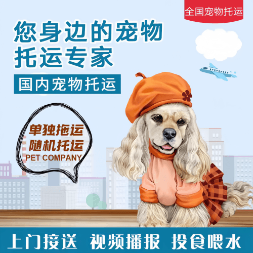 满财大连市宠物全球达宠物托运作为专业的宠物运输代理机构